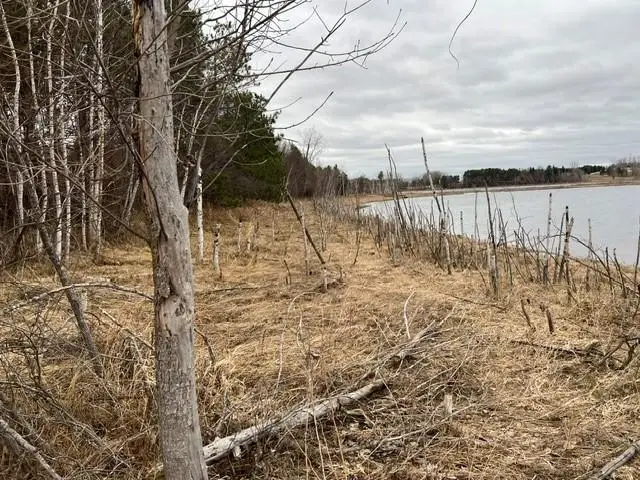 135XX Keystone Ave N, Hugo, MN 55038 - #1