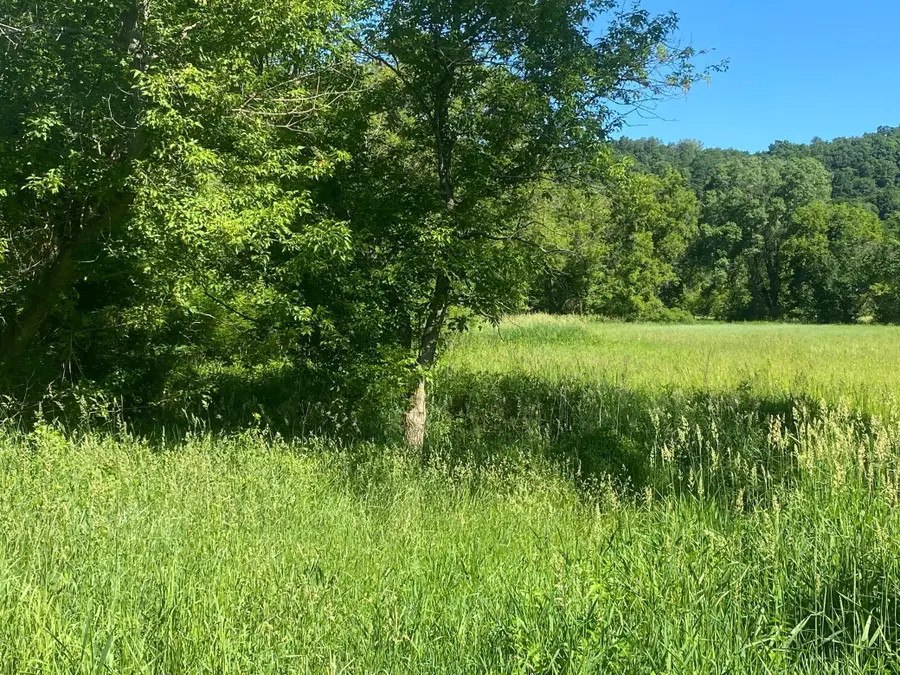 27333 Deep River Road, Lanesboro, MN 55949 - #3