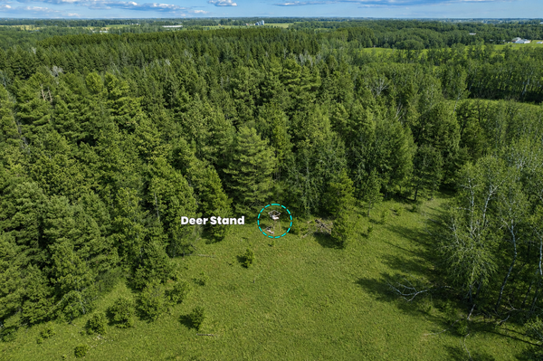 000 University Avenue, Isanti, MN 55040