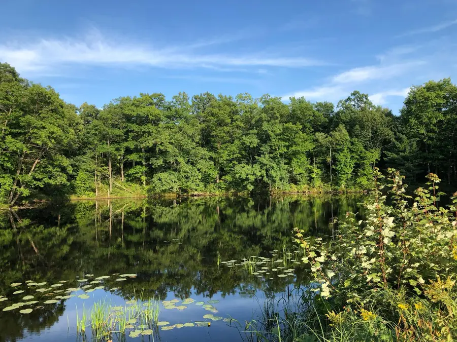 XXX Old Highway 63, Barronett, WI 54871 - #3