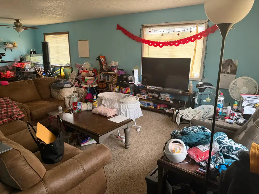 319 Peifer Drive, Litchfield, MN 55355 - #3