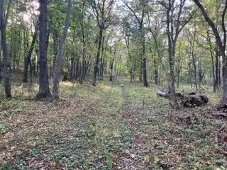 12216 Arcola Trail N, Stillwater, MN 55082