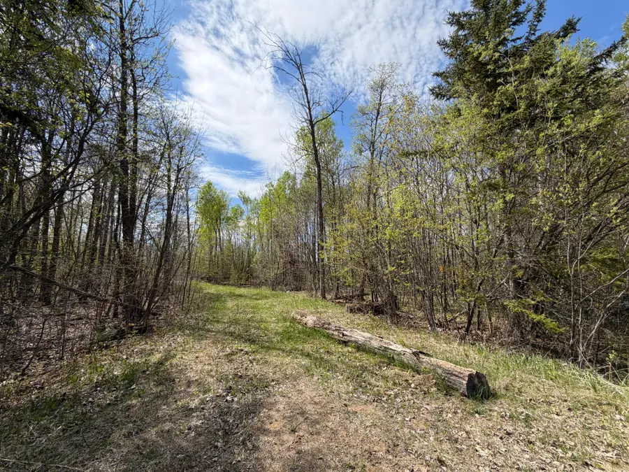 51265 Vagabond Loop, Bemidji, MN 56601 - #2