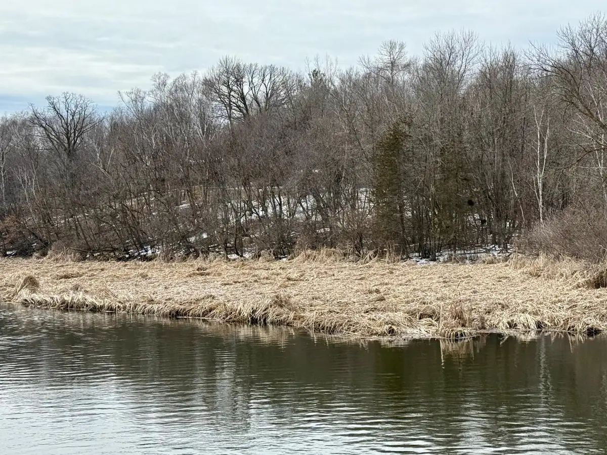 TBD Basswood Drive, Sauk Centre, MN 56378 - #1