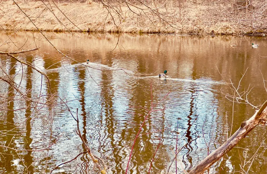 2125 Hazelwood Street, Saint Paul, MN 55109 - #3