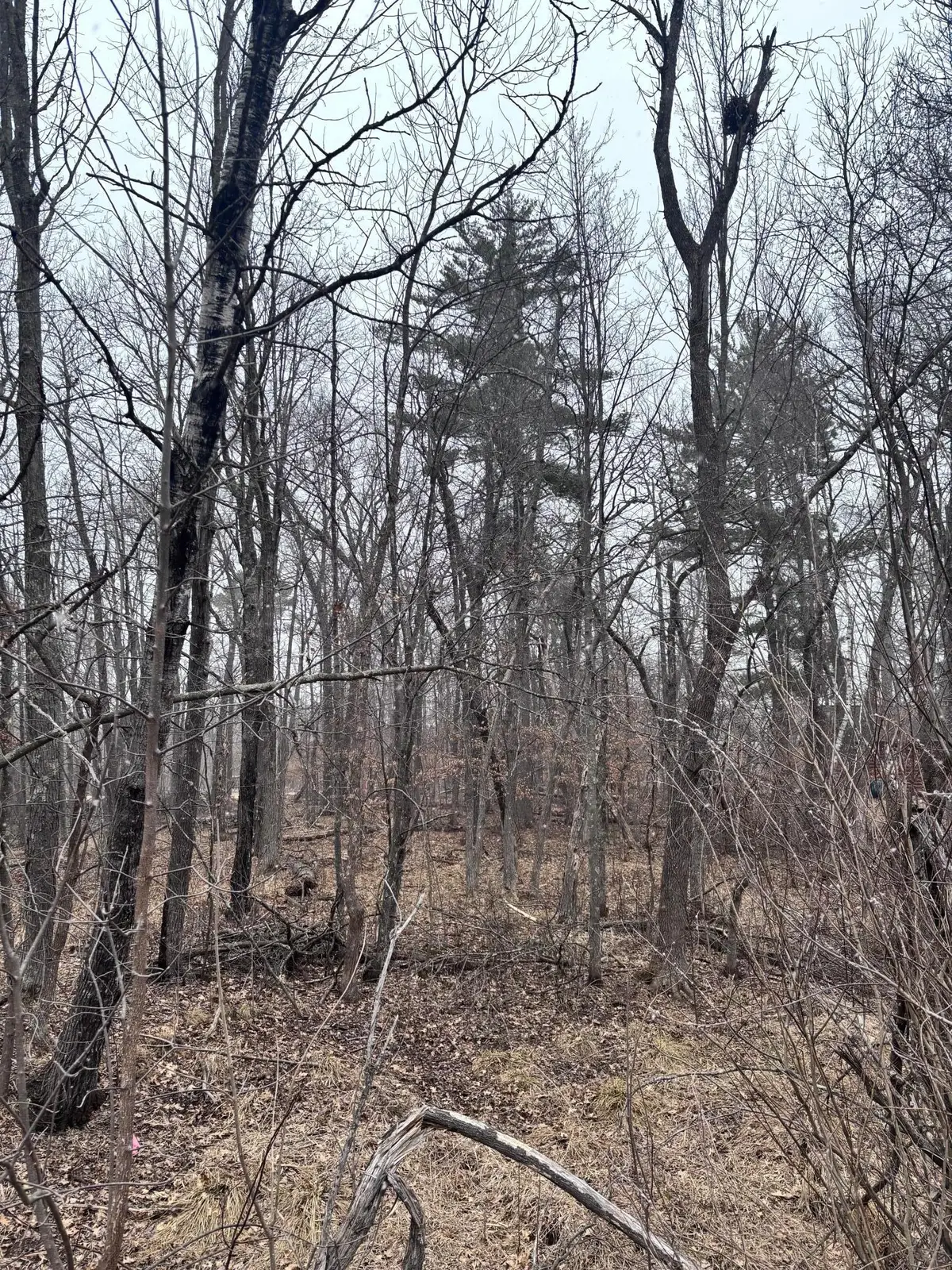 79xx Golf Estates Drive, Pequot Lakes, MN 56472 - #1