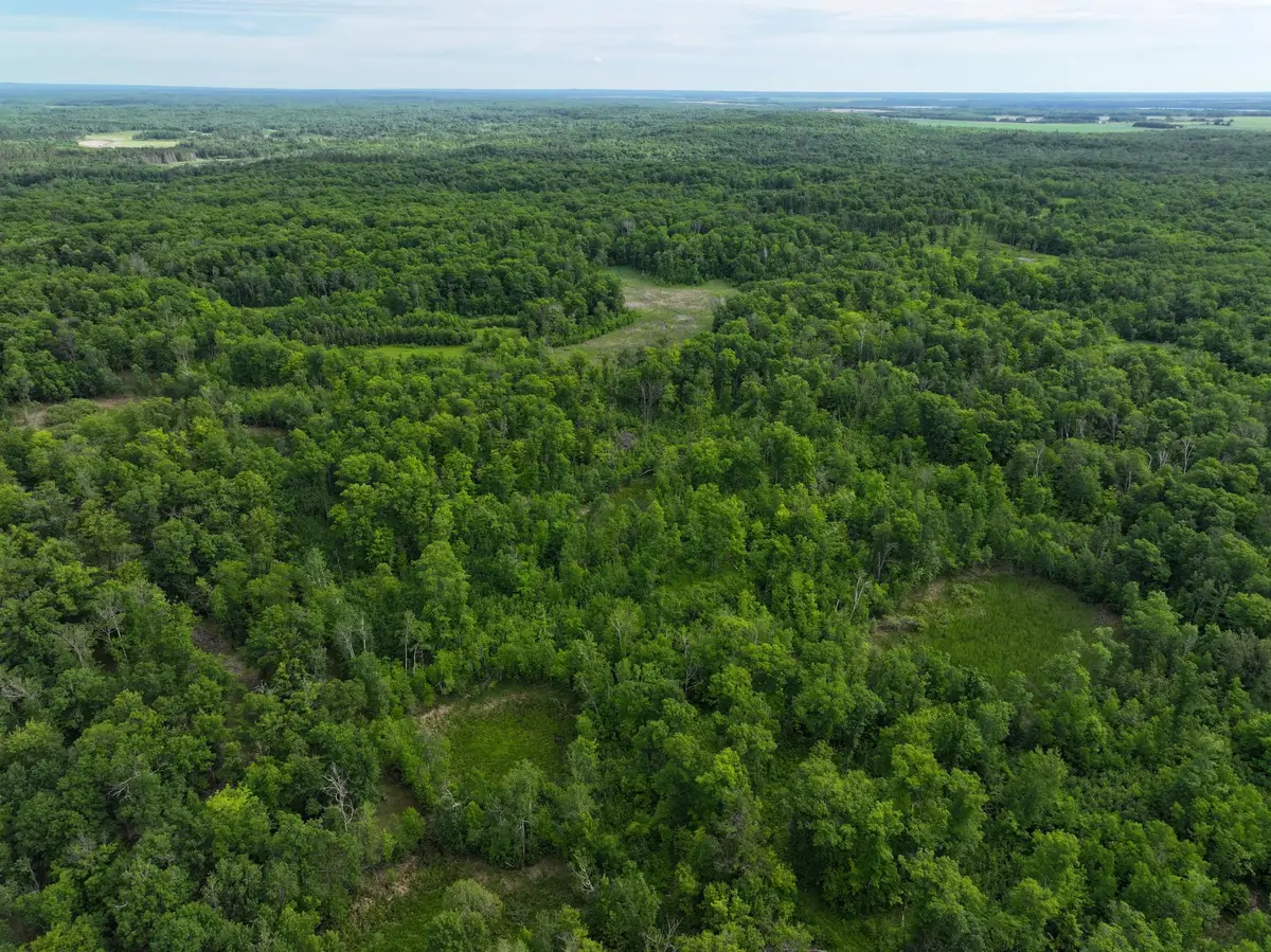 TBD County Highway 26, Rochert, MN 56578 - #1