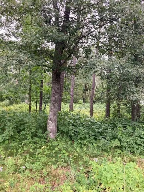 Lot 39 & 40 Owl Circle, Breezy Point, MN 56472 - #1