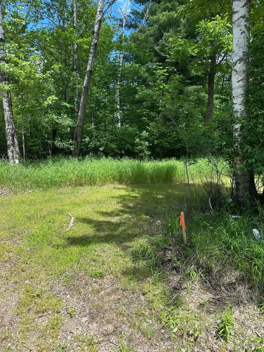 36599 Dove, Aitkin, MN 56431 - #2