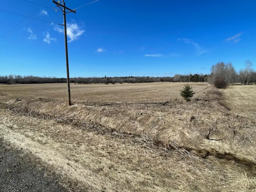 Hwy 133 Hwy # 133, Meadowlands, MN 55765 - #2