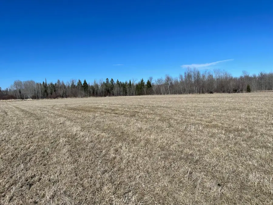 Hwy 133 Hwy # 133, Meadowlands, MN 55765 - #3