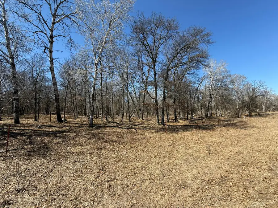 Tract I 175th Avenue, Park Rapids, MN 56470 - #3
