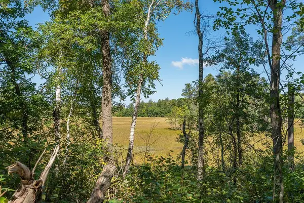Tract D TBD Little Pine Road, Brainerd, MN 56401