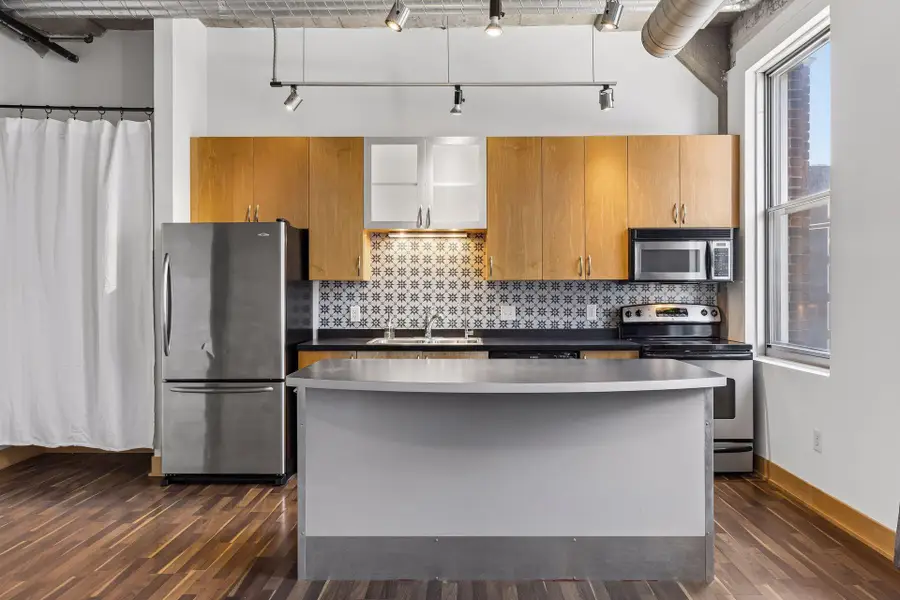 918 3rd Street N #309, Minneapolis, MN 55401 - #2