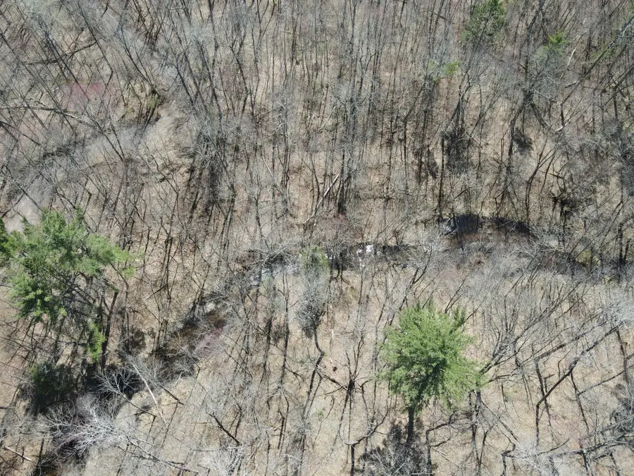 TBD Red Oak Lane, Stone Lake, WI 54876 - #2