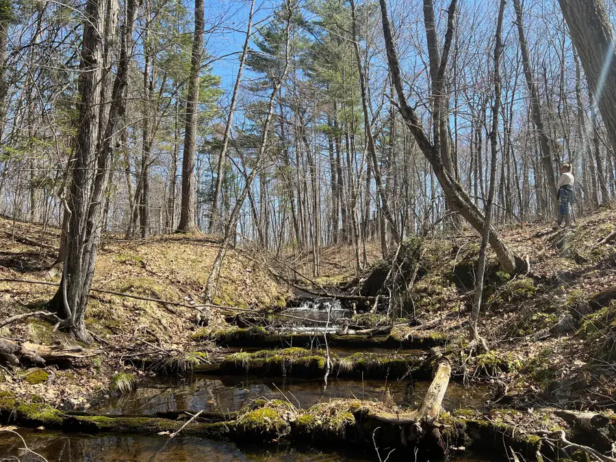 TBD Red Oak Lane, Stone Lake, WI 54876 - #3