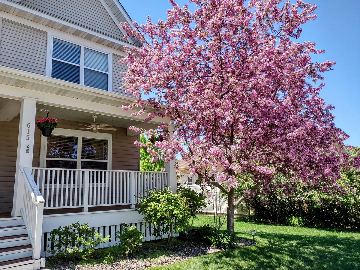 615 1st Avenue Nw, Osseo, MN 55369 - #1