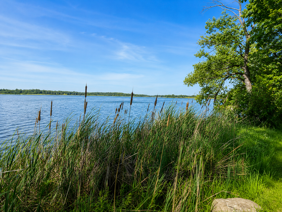 12795 183rd Street, Cold Spring, MN 56320 - #3