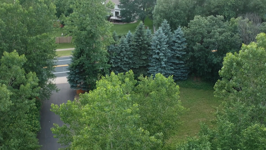 14821 Lac Lavon Drive, Burnsville, MN 55306 - #3
