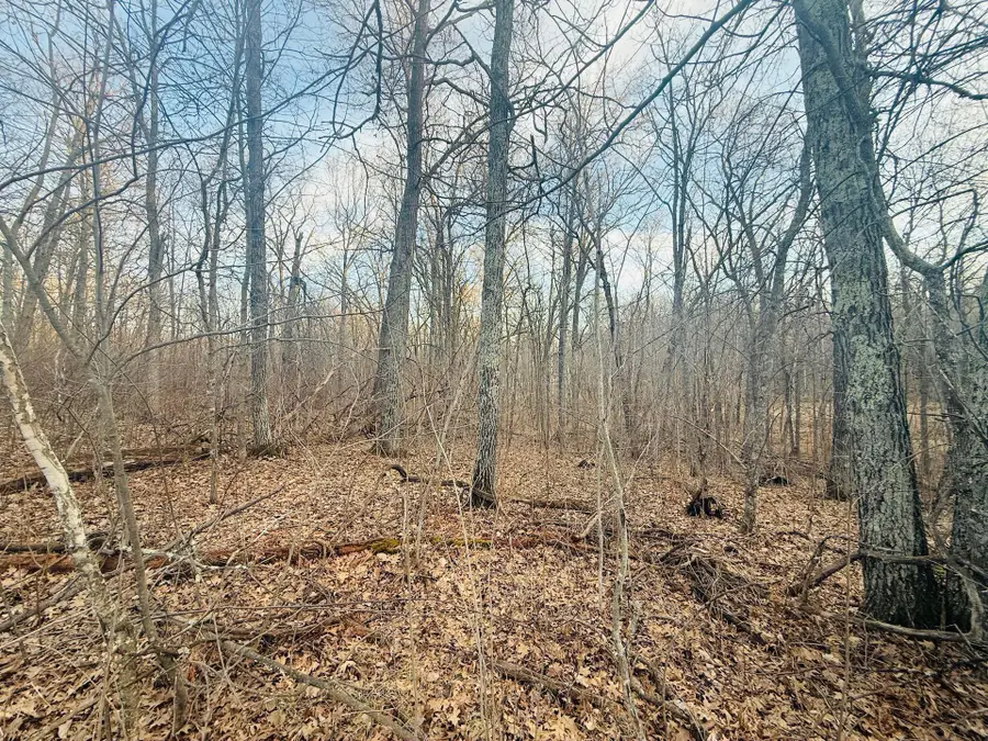 TBD Ringneck Roost, Garrison, MN 56450 - #2