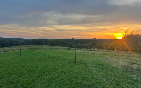 N2548 320th Street, Maiden Rock, WI 54750