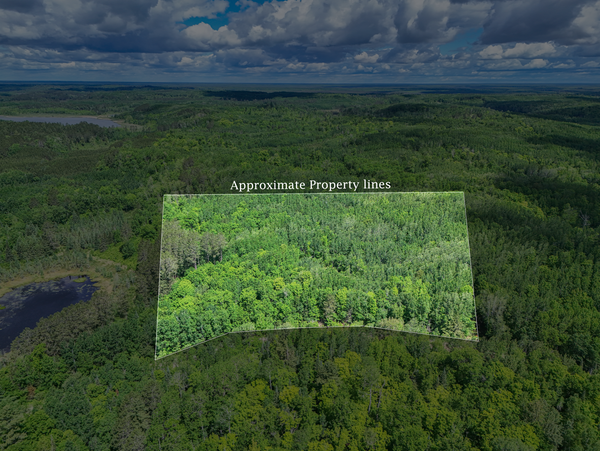 TBD "Lot B" Co Rd 533, Effie, MN 56639