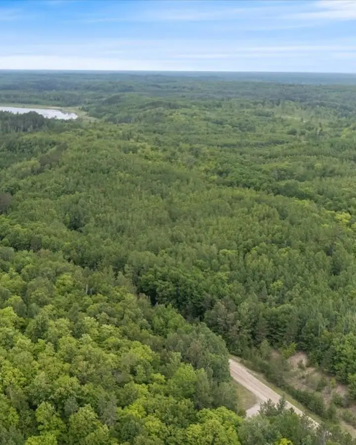 TBD "Lot B" Co Rd 533, Effie, MN 56639 - #3