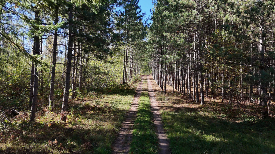 xxx Mann Road, Spooner, WI 54801 - #2