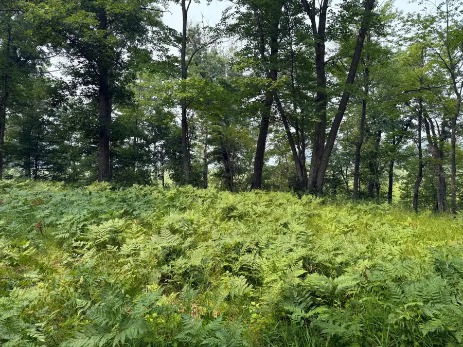 xxx Mann Road, Spooner, WI 54801 - #3