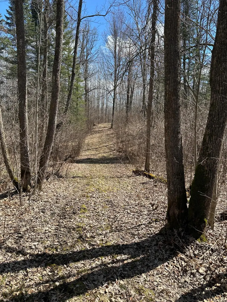 TBD Ct Rd 307, Blackduck, MN 56630 - #3