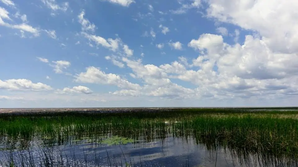 57528 Blue Goose Lane Ne, Waskish, MN 56685 - #1