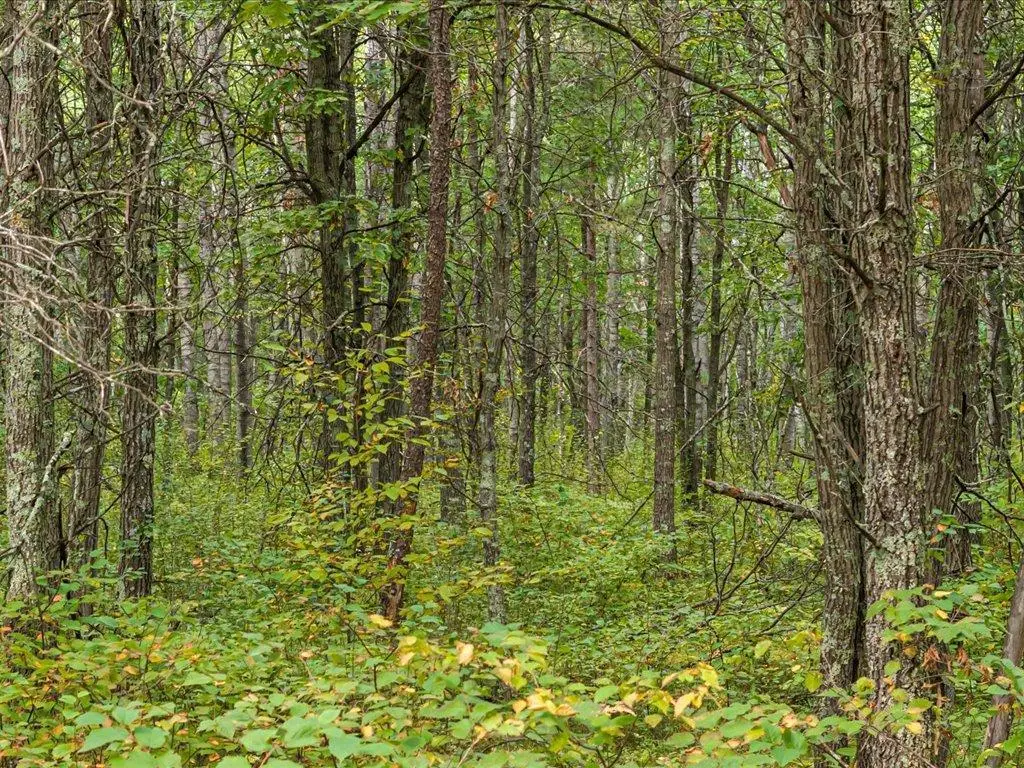 Lot C Sandbar Lane, Merrifield, MN 56465 - #1