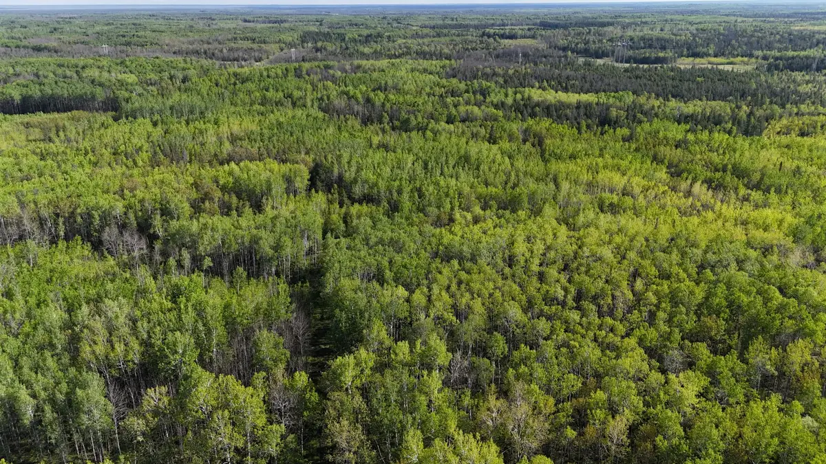 TBD Town Road 118, Baudette, MN 56629 - #1