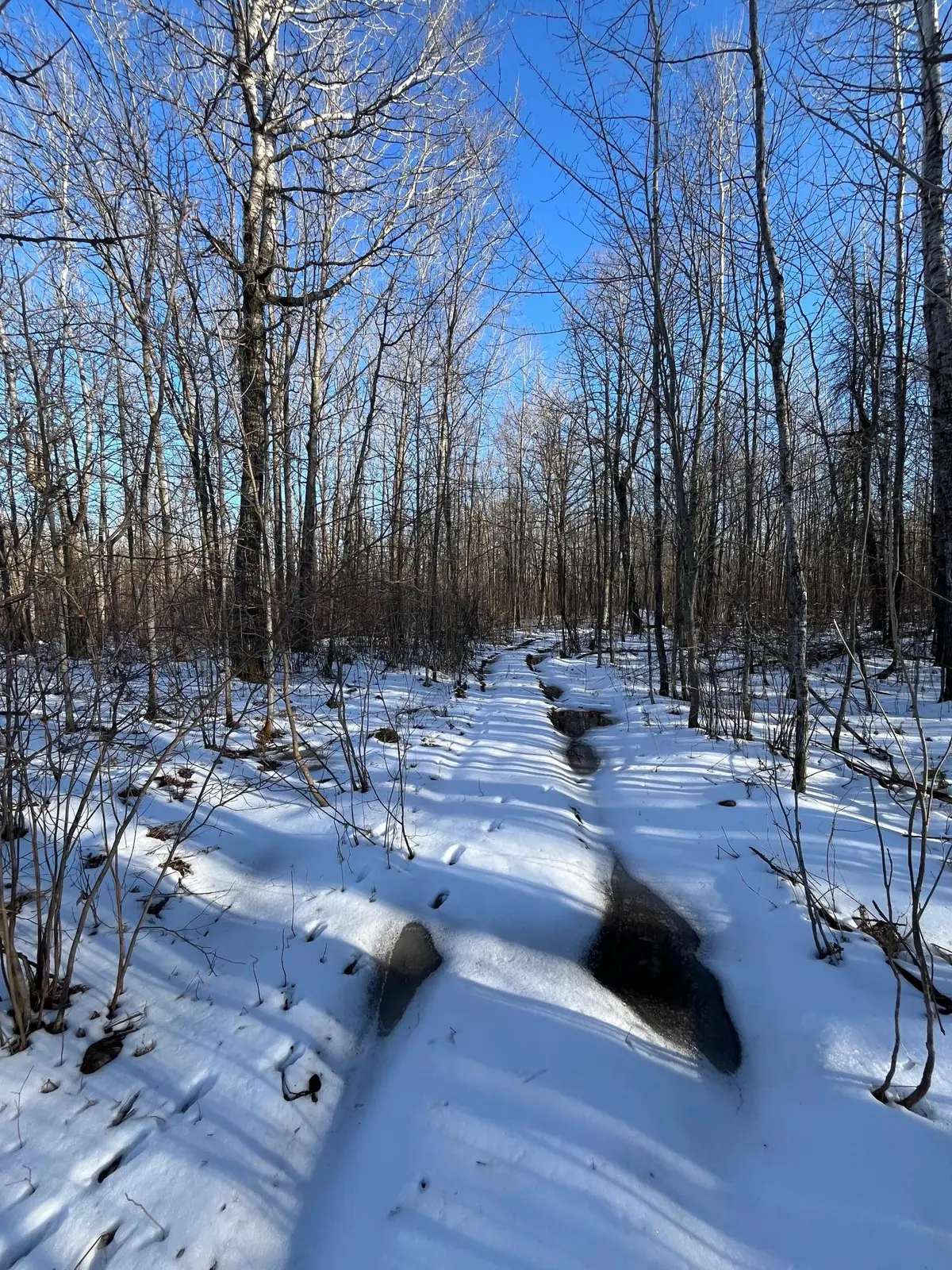 TBD County Rd 4, Barnum, MN 55707 - #1
