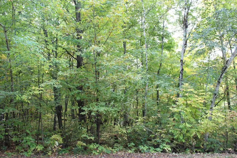 000 St Croix Trail, Taylors Falls, MN 55084 - #2