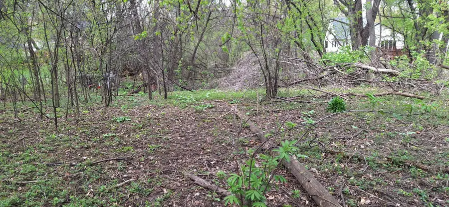 1830 Howard Street N, Saint Paul, MN 55109 - #3