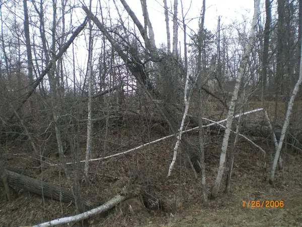 Lot 18 Terminal Road, Pequot Lakes, MN 56472