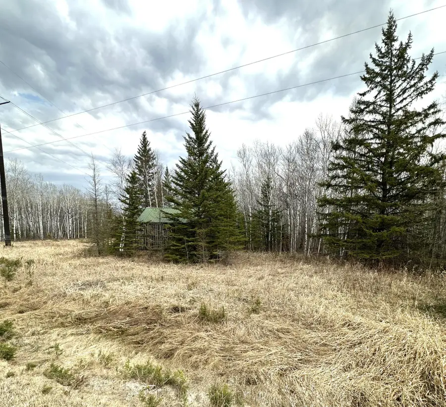 1656 78th Avenue Nw, Williams, MN 56686 - #2