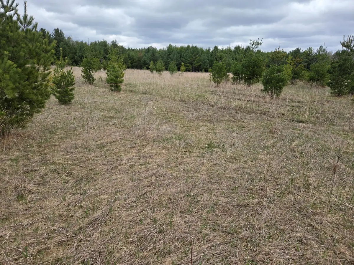 TBD 450th St - Parcel B, Laporte, MN 56461 - #1