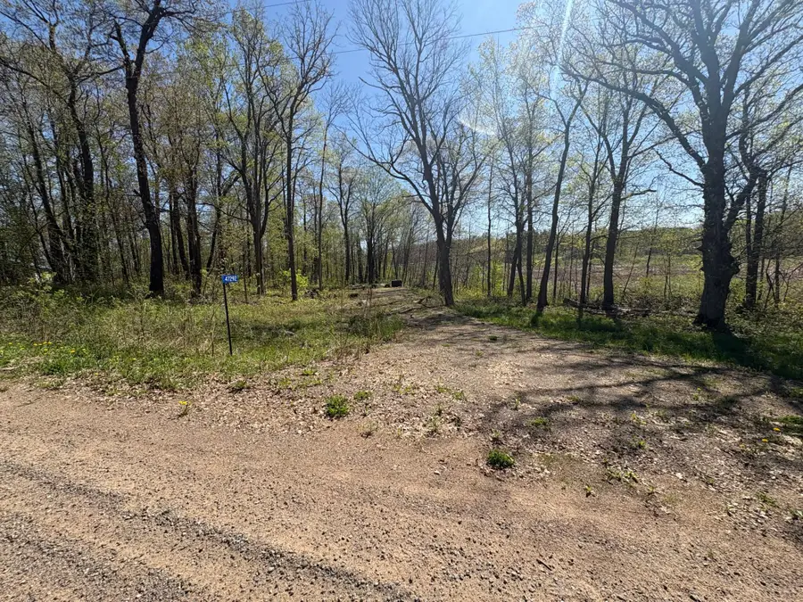 47292 Baffie Bend, Garrison, MN 56450 - #2