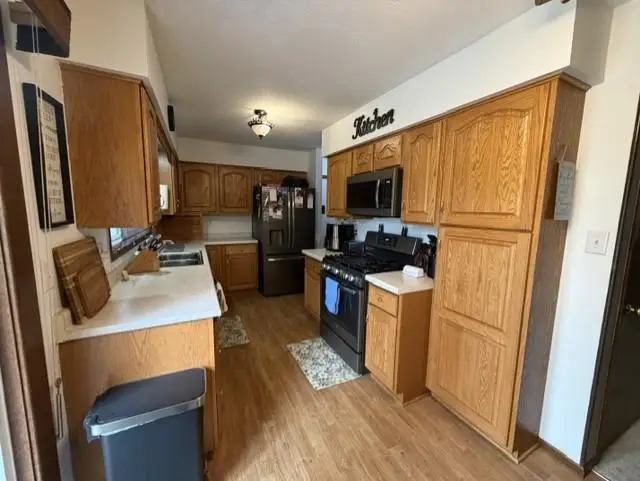 608 S Donnelly Avenue, Litchfield, MN 55355 - #3