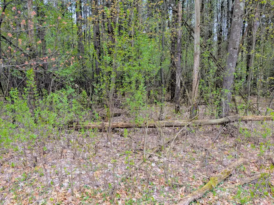 Vacant Lot 540th Street, Menomonie, WI 54751 - #2