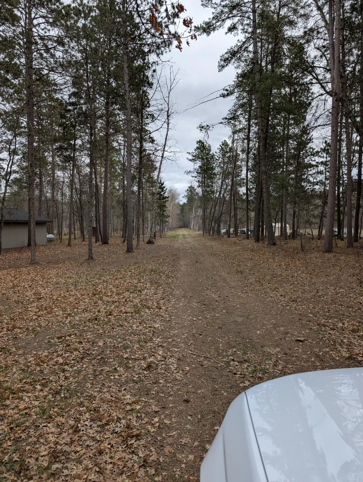 35546 Pine Terrace Road, Crosslake, MN 56442 - #1