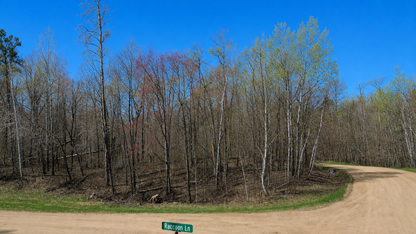 TBD Flower Trail, Breezy Point, MN 56472