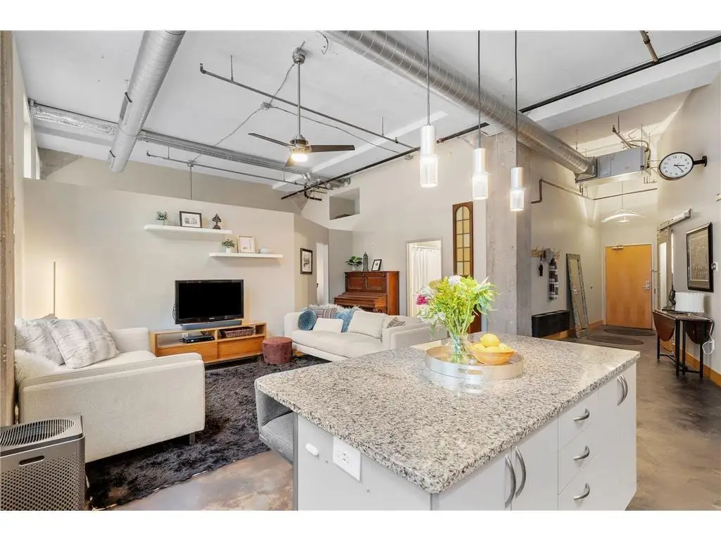 918 3rd Street N #105, Minneapolis, MN 55401 - #1