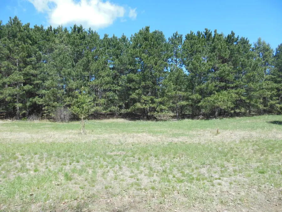 TBD Red Sequia Drive N, Baxter, MN 56425 - #3