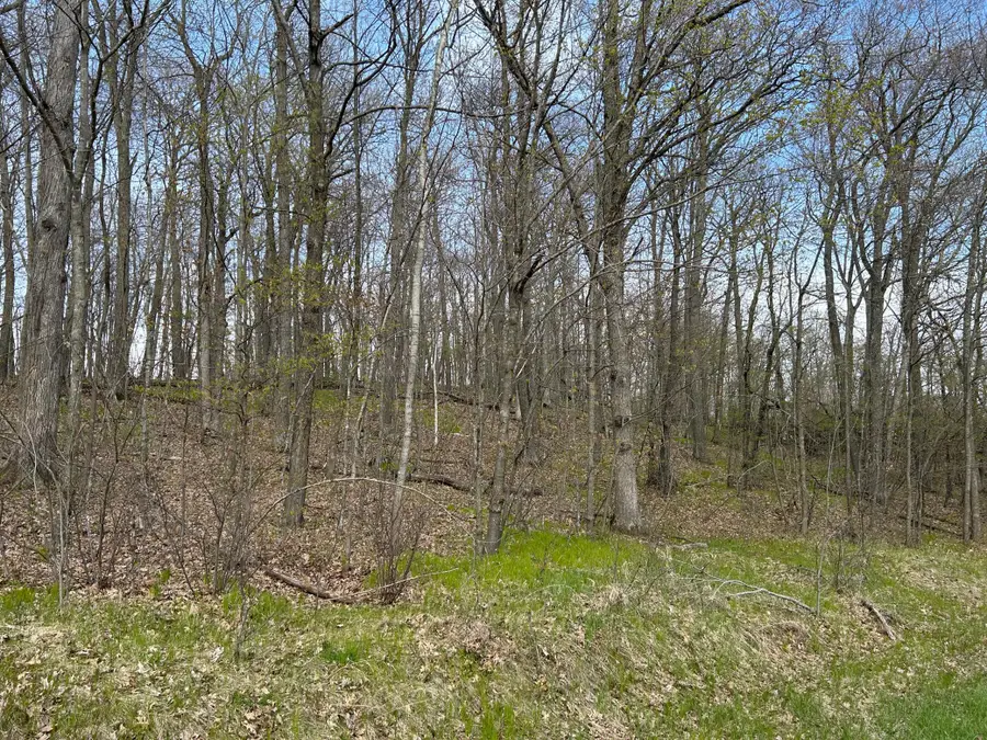 51XX Banyan Drive, Garrison, MN 56450 - #2