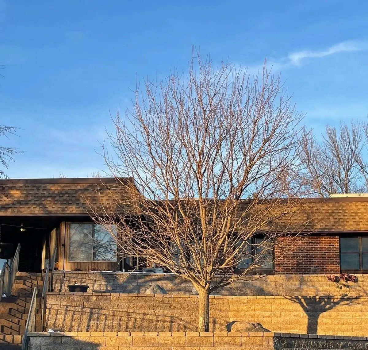 909 Luther Place #117, Albert Lea, MN 56007 - #1