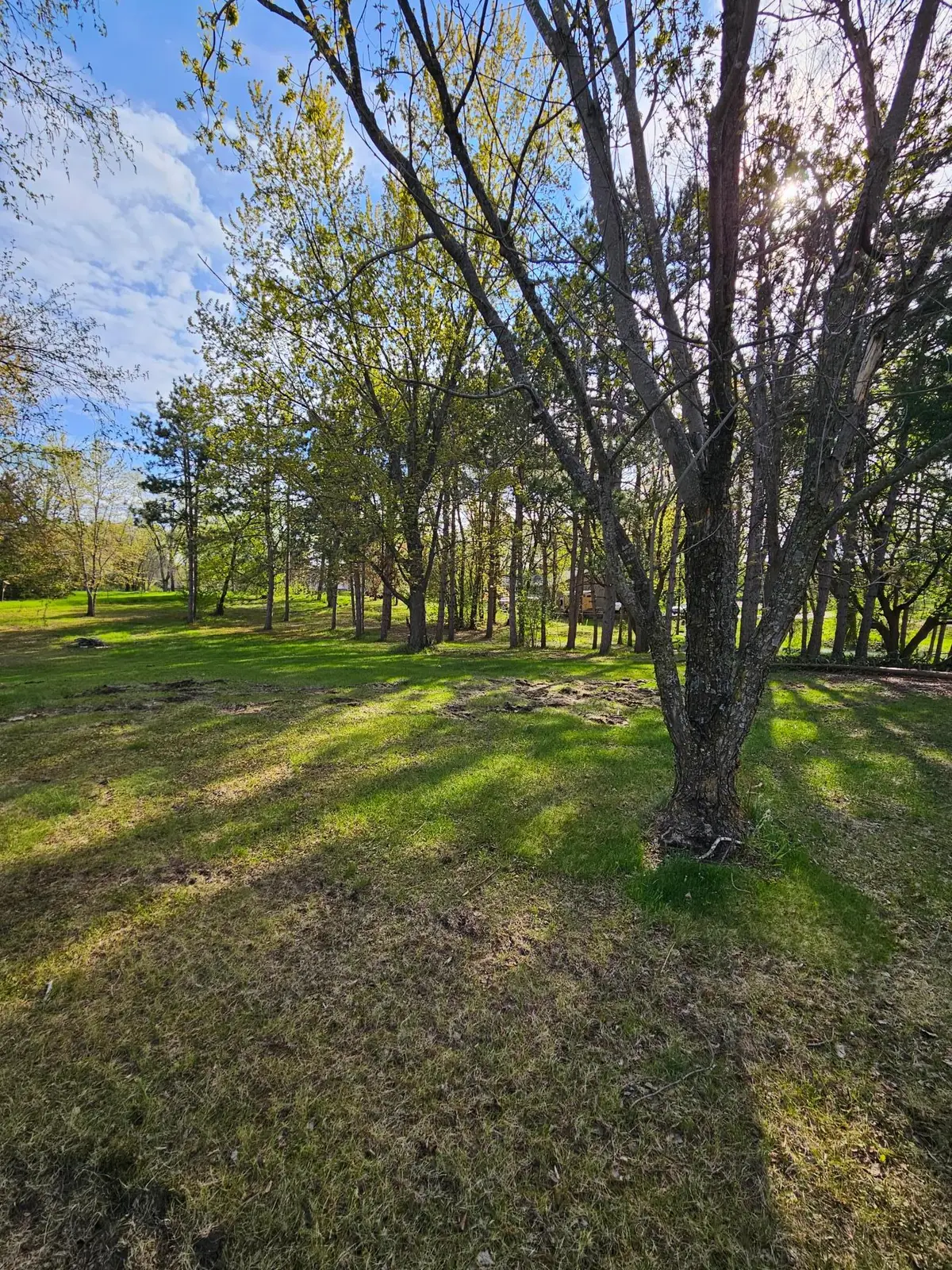 97XX Ireland Avenue Nw, Annandale, MN 55302 - #1