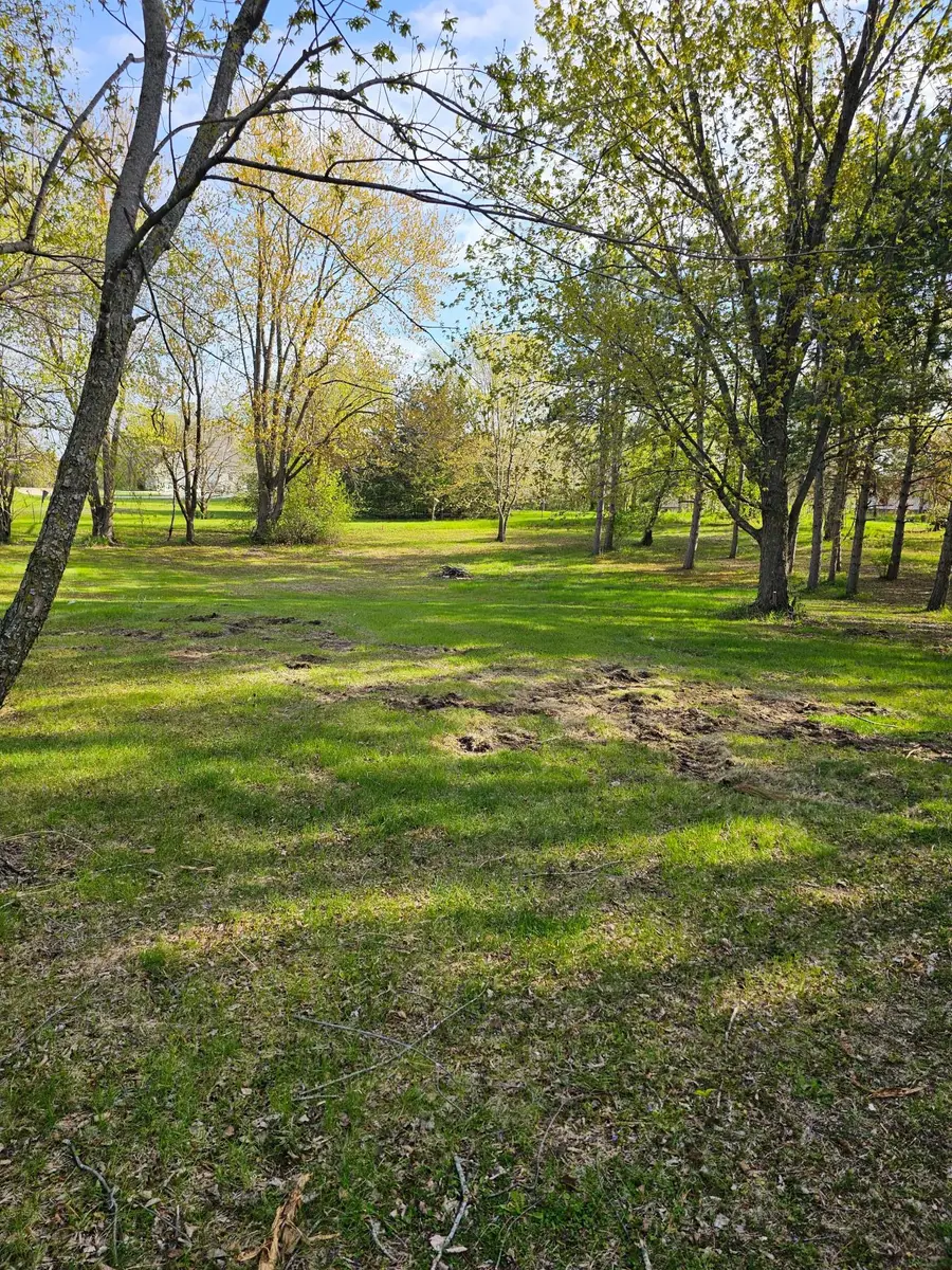 97XX Ireland Avenue Nw, Annandale, MN 55302 - #3